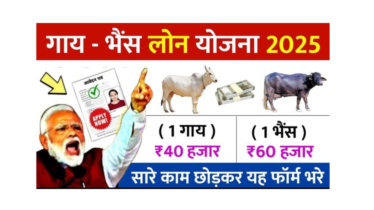 pashupalan loan yojana